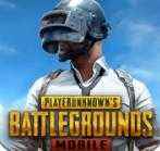 PUBG下载国际服2.5.1